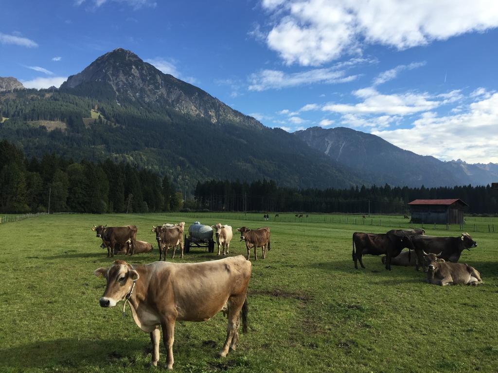Steinbock Bed & Breakfast Fischen im Allgaeu Exterior foto